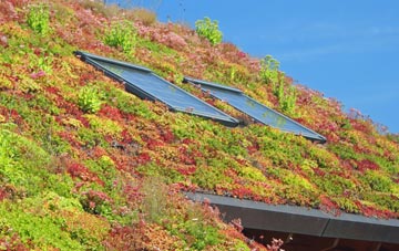 Rook Street living roof systems